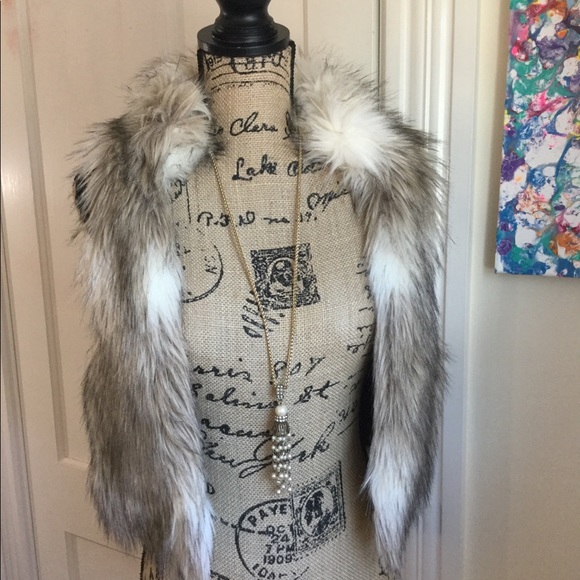 Ann Taylor Loft Luxe Faux Fur Vest XS/SP - Picture 5 of 8